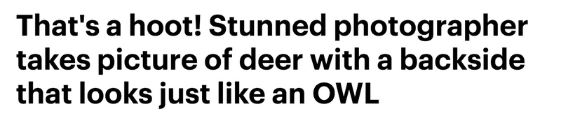 Via Daily Mail